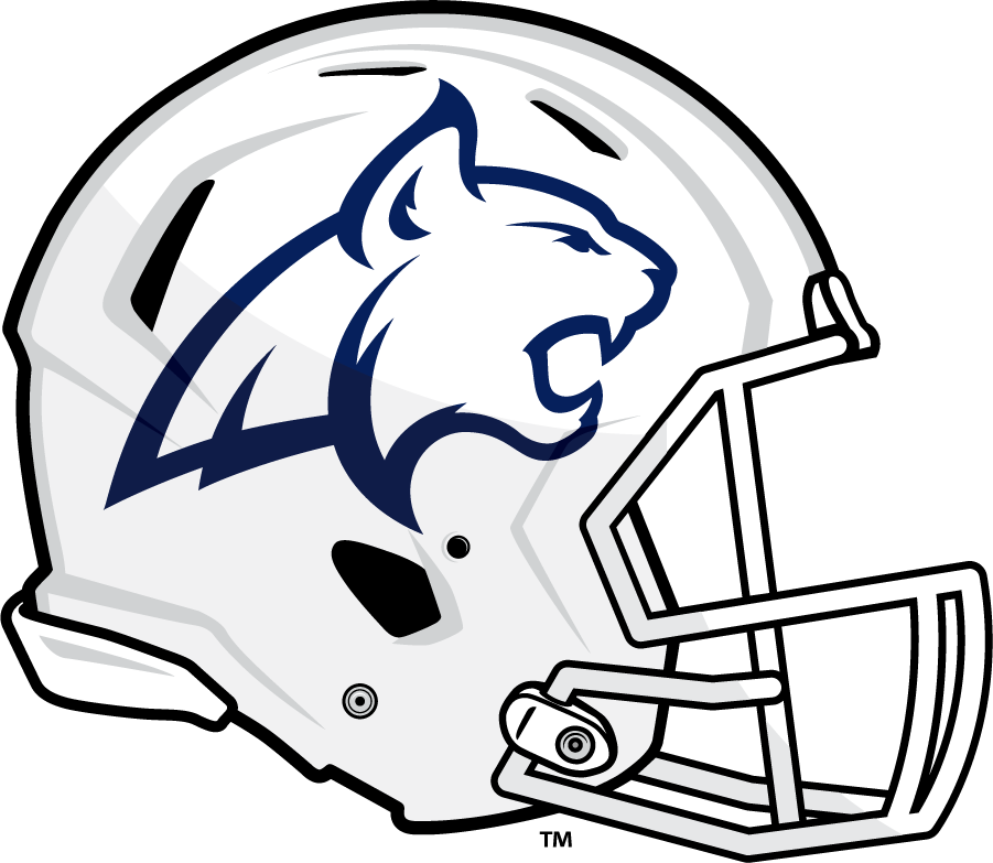 Montana State Bobcats 2016-Pres Helmet Logo DIY iron on transfer (heat transfer)